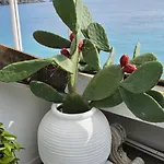 Oltre L'essenza Del Mare Feriehus *